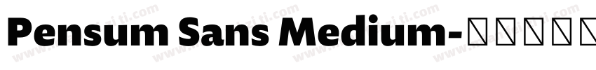 Pensum Sans Medium字体转换